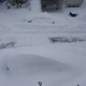 Illustration for article titled The New York City Snowpocalypse In Pictures